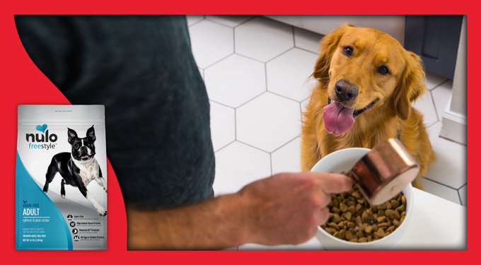 Nulo Freestyle Grain-Free Salmon & Peas Recipe Dry Dog Food