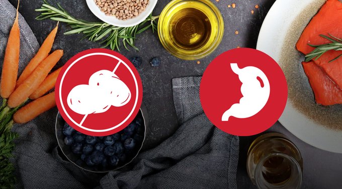 Nulo Freestyle Grain-Free Salmon & Peas Recipe Dry Dog Food