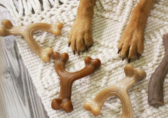 Nylabone Gourmet Style Strong Chew Wishbone Bacon Dog Toy