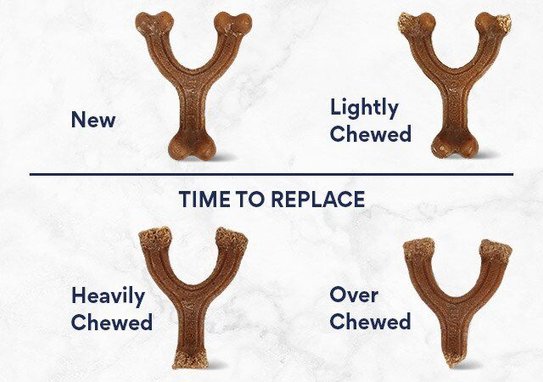 Nylabone Gourmet Style Strong Chew Wishbone Bacon Dog Toy