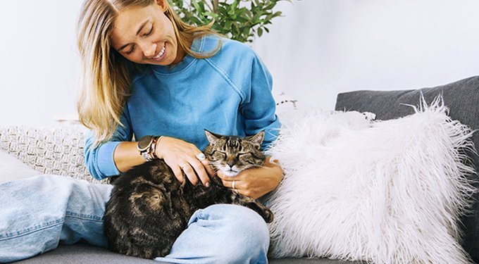 Okocat Original Premium Wood Clumping Cat Litter