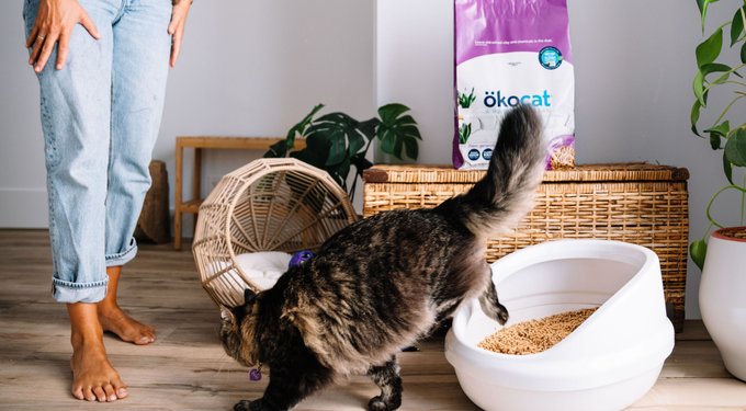 Okocat Original Premium Wood Clumping Cat Litter