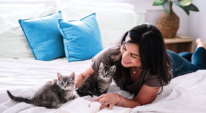 Okocat Original Premium Wood Clumping Cat Litter