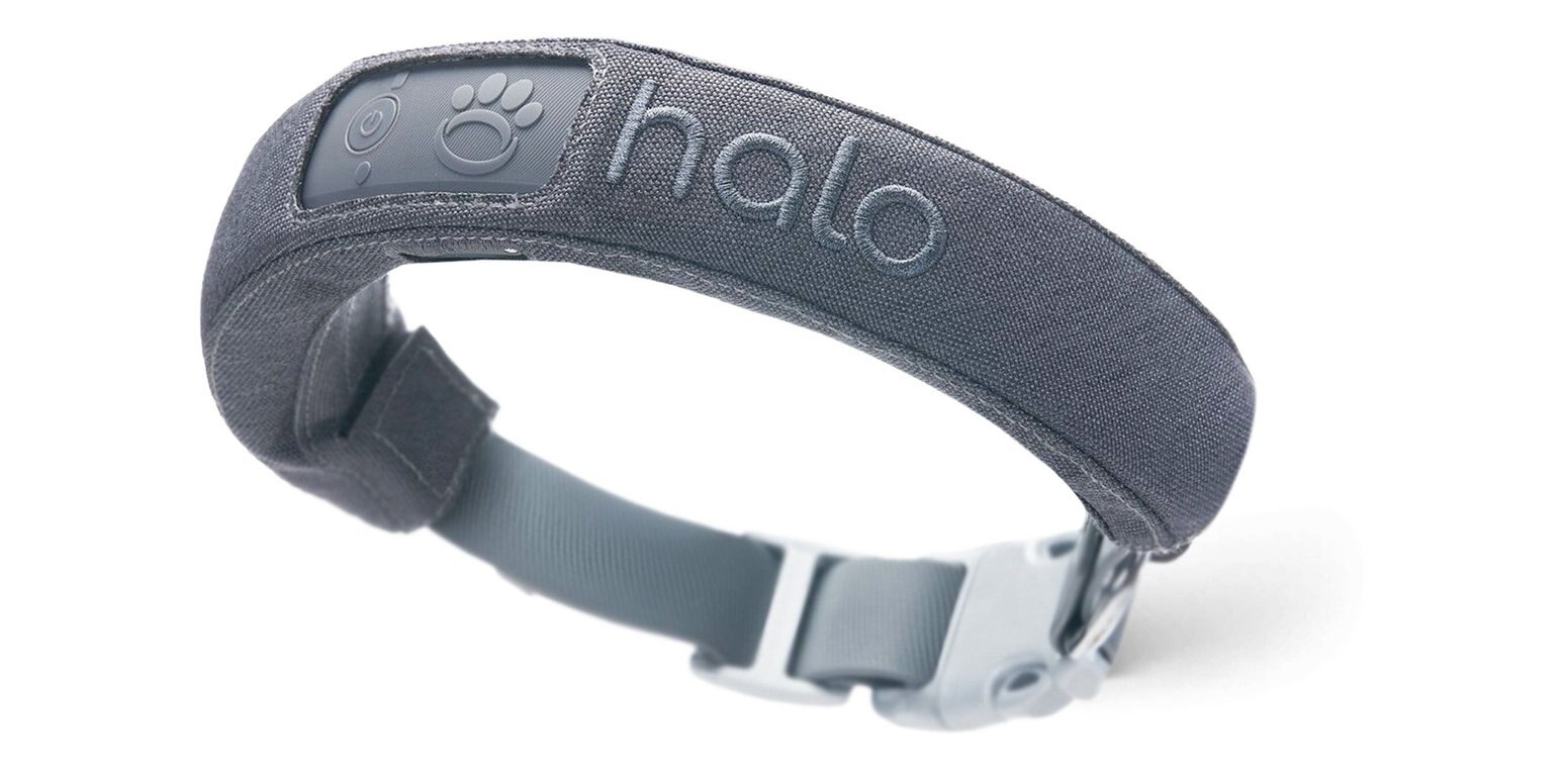Halo Collar 2+ GPS Dog Collar & Wireless Virtual Fence