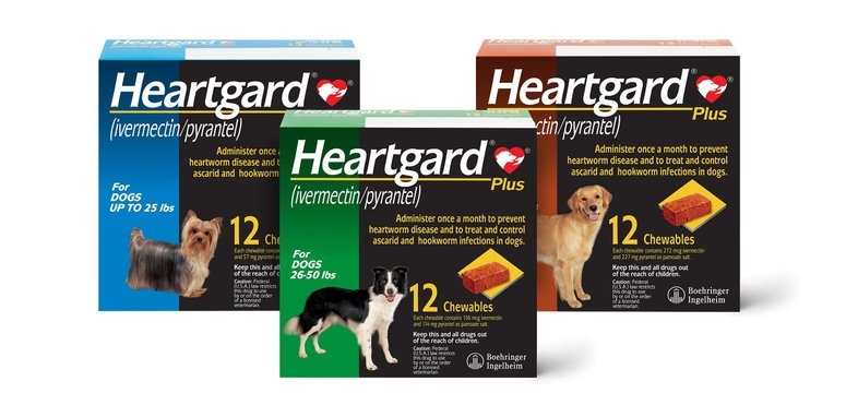 HEARTGARD Plus Chew for Dogs, 51-100 lbs, (Brown Box), 12 Chews (12-mos.  supply) 
