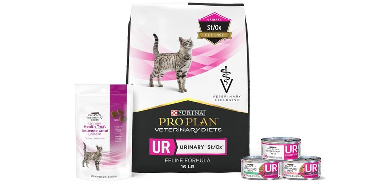 PURINA PRO PLAN VETERINARY DIETS UR St Ox Urinary Dry Cat Food 6