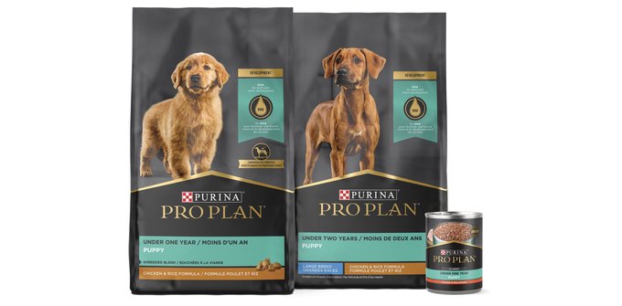 Purina fashion dog food puppy large breed