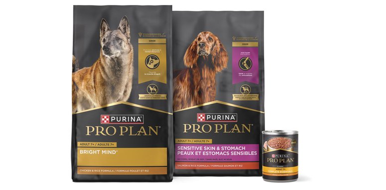 PURINA PRO PLAN Adult 7 Shredded Blend Chicken Rice Formula Dry Dog Food 6 lb bag Chewy