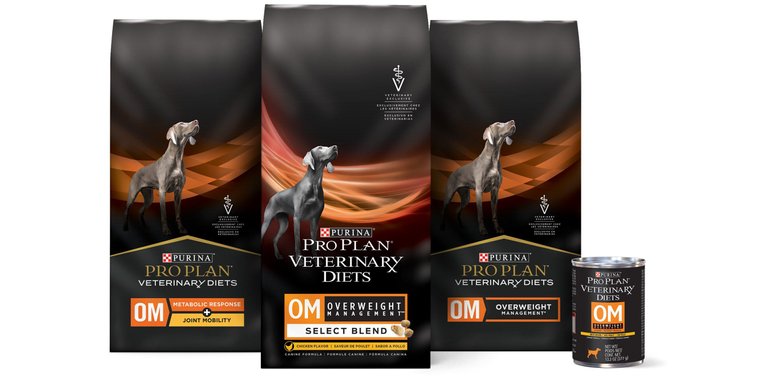 PURINA PRO PLAN VETERINARY DIETS OM Overweight Management Dry Dog Food 6 lb bag Chewy