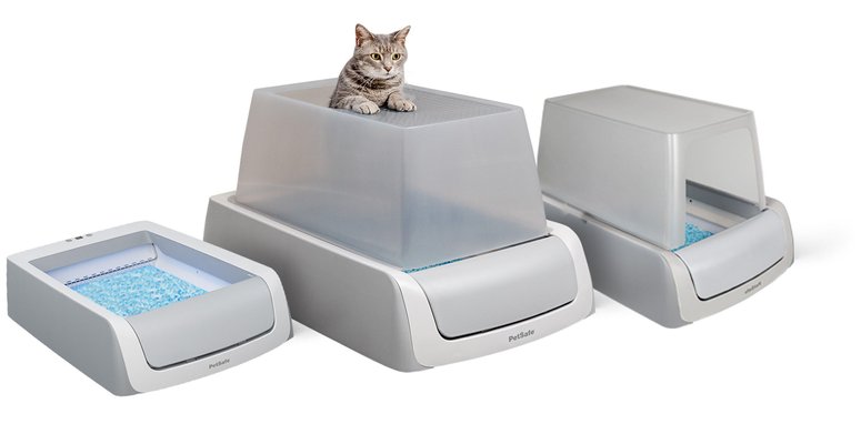 How to change scoopfree litter box store