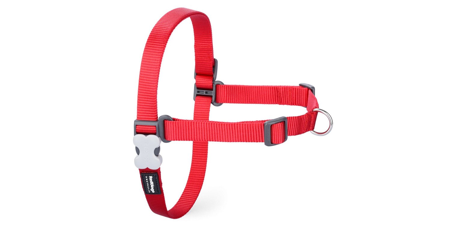 RED DINGO No Pull Dog Harness, Red, X-Small - Chewy.com