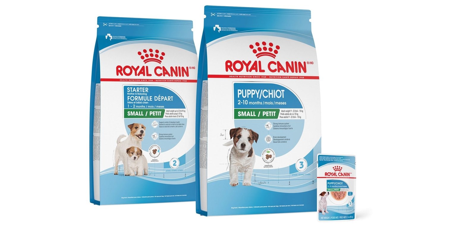 Royal Canin Small Puppy Dry Dog Food (Free Shipping) | Chewy