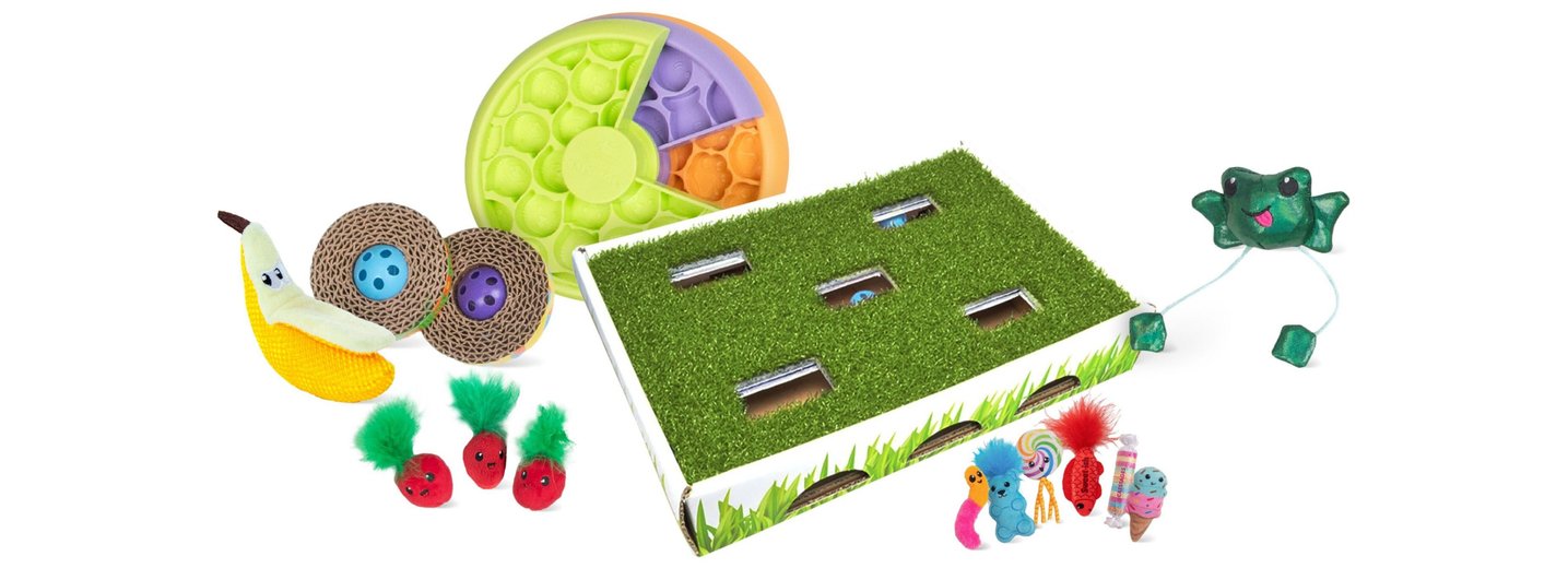 CATSTAGES Flashing Firefly Mat Cat Toy Chewy