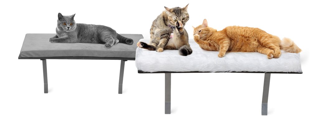 COZIWOW Wall mounted Cat Window Perch Grey Chewy