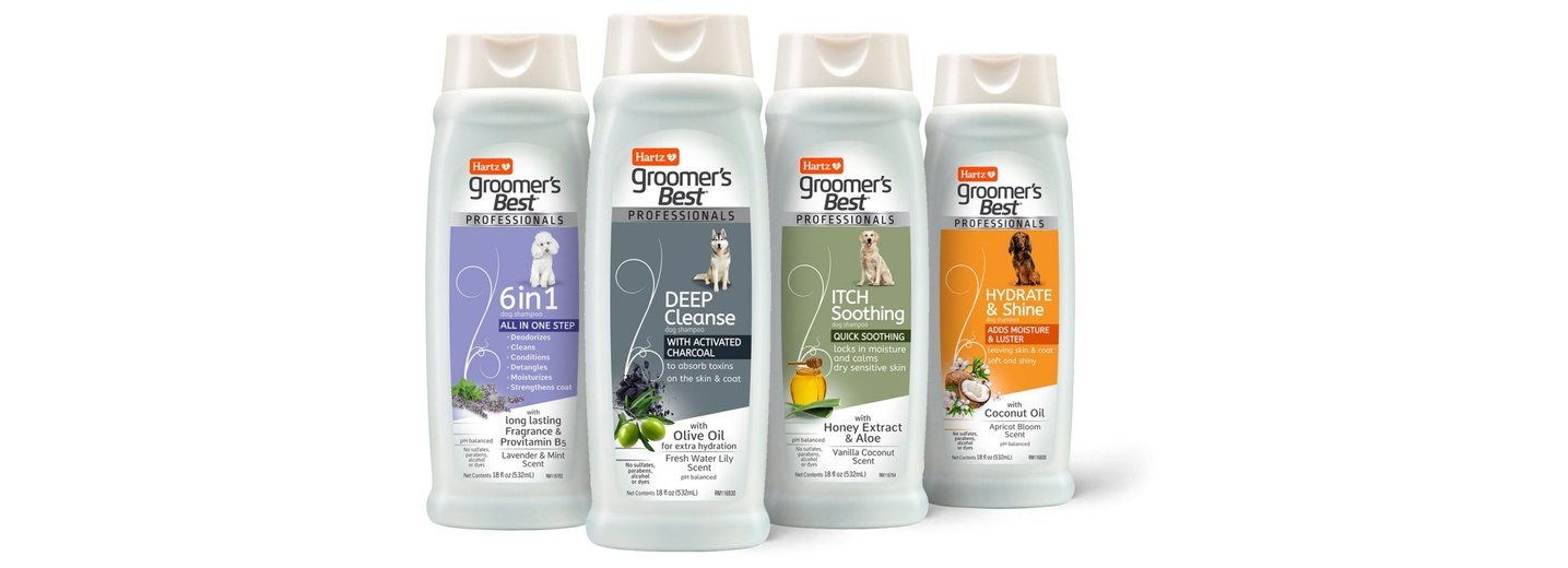 Itchy Dog Grooming Best Shampoo For Golden Retriever With