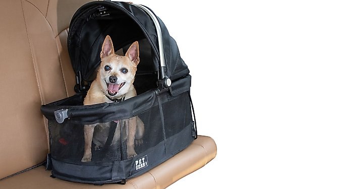 Pet Gear Easy Step II Cat & Dog Stairs