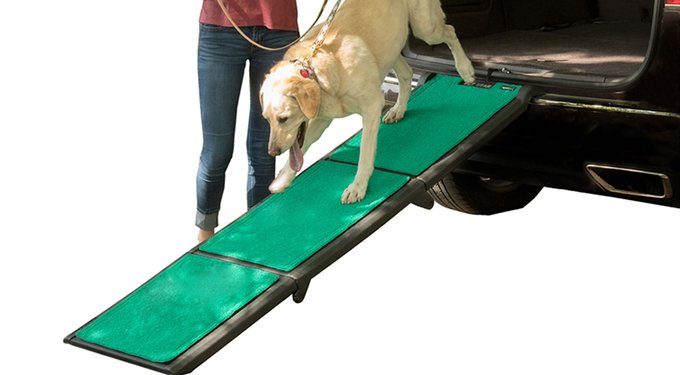 Pet gear free standing fashion dog ramp