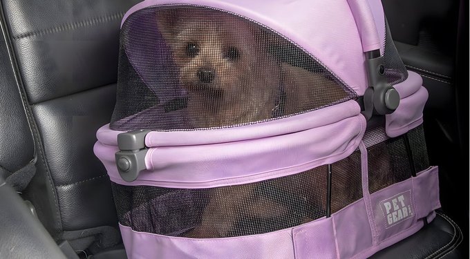 Pet Gear Easy Step II Cat & Dog Stairs