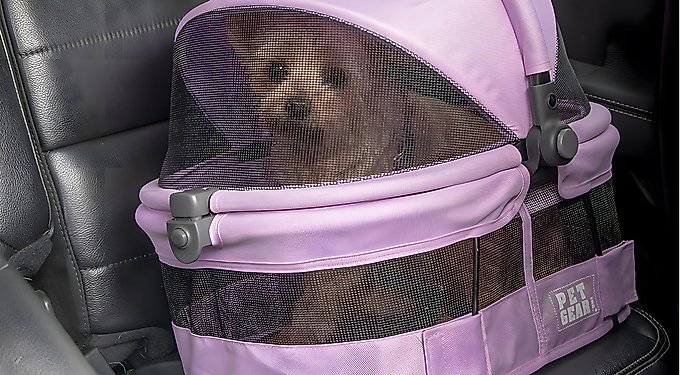Pet Gear Easy Step II Cat & Dog Stairs