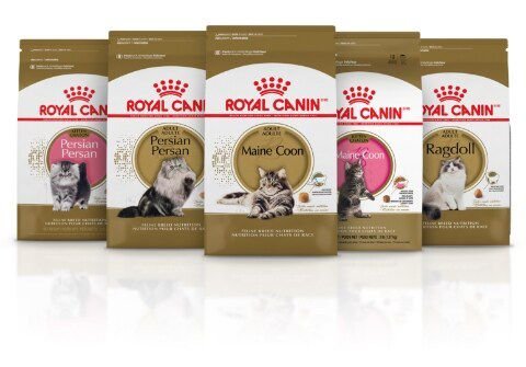 Royal Canin Maine Coon Adult Thin Slices in Gravy Wet Cat Food