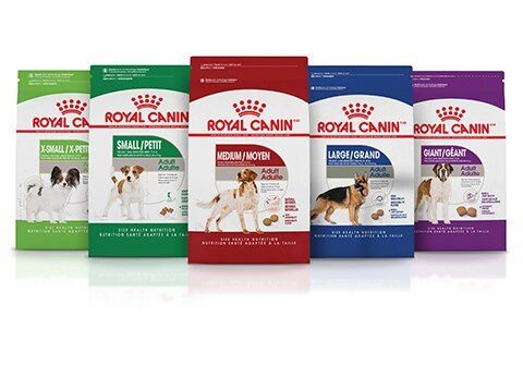 Royal Canin Size Health Nutrition Small Adult 8+ Dry Dog Food