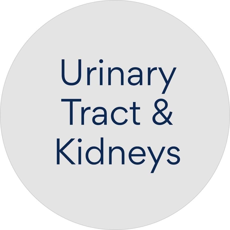 Cat Medicine: Prescription Cat Pharmacy Medication (Ships Free) | Chewy RX