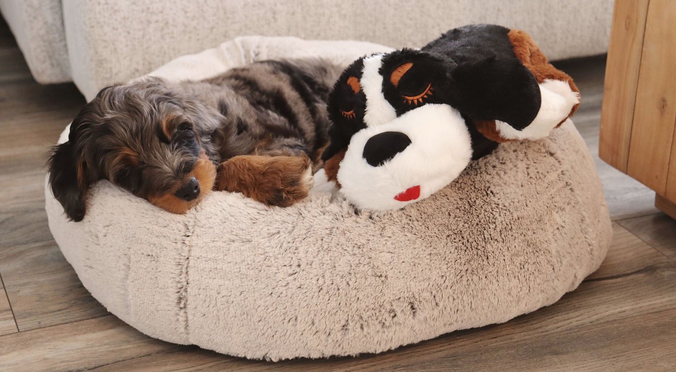 Snuggle Puppy Original Plus Plush Dog Toy, Black/white, Large