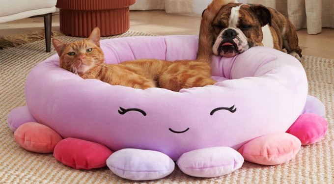 Squishmallow Wendy Frog Dog/Cat Bed online Medium