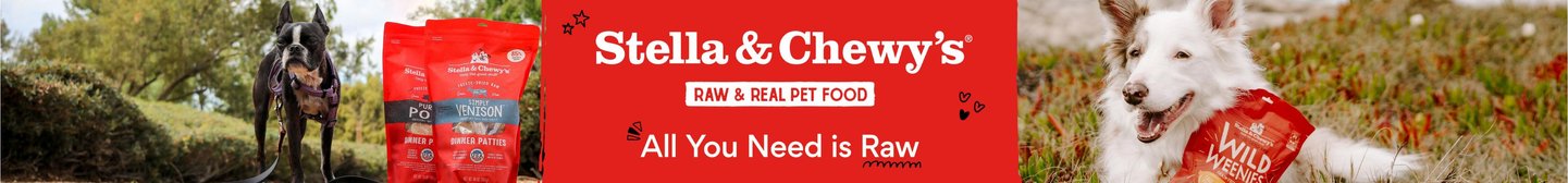 Stella & Chewy