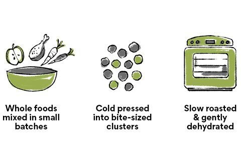 The Honest Kitchen Food Clusters Whole Grain Chicken & Oat Recipe Puppy Blend Dog Food