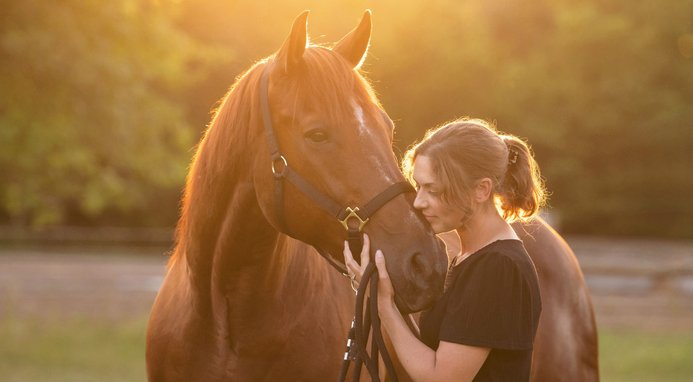 Shop Tribute Equine Nutrition, Kalmbach's premium horse feed brand