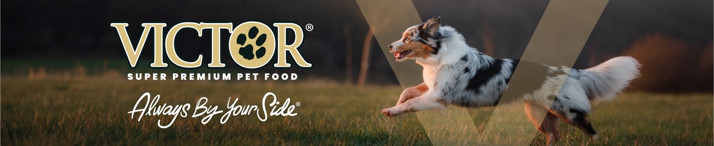 Victor Super Premium Pet Food. Always By Your Side.
