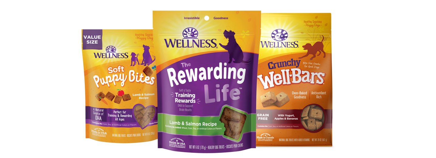 WELLNESS Crunchy WellBars Grain Free Yogurt Apples Bananas Baked Dog Treats 45 oz bag Chewy