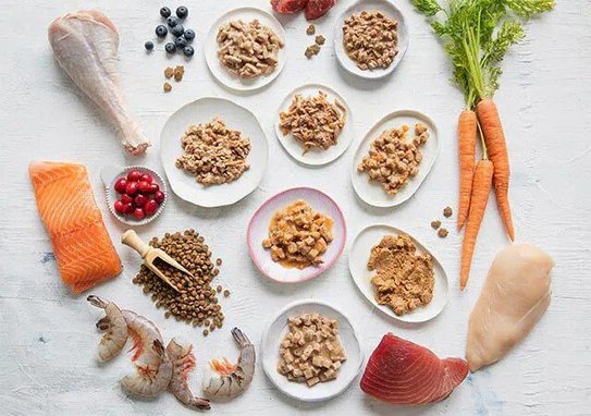 Wellness Kittles Natural Grain-Free Tuna & Cranberries Crunchy Cat Treats