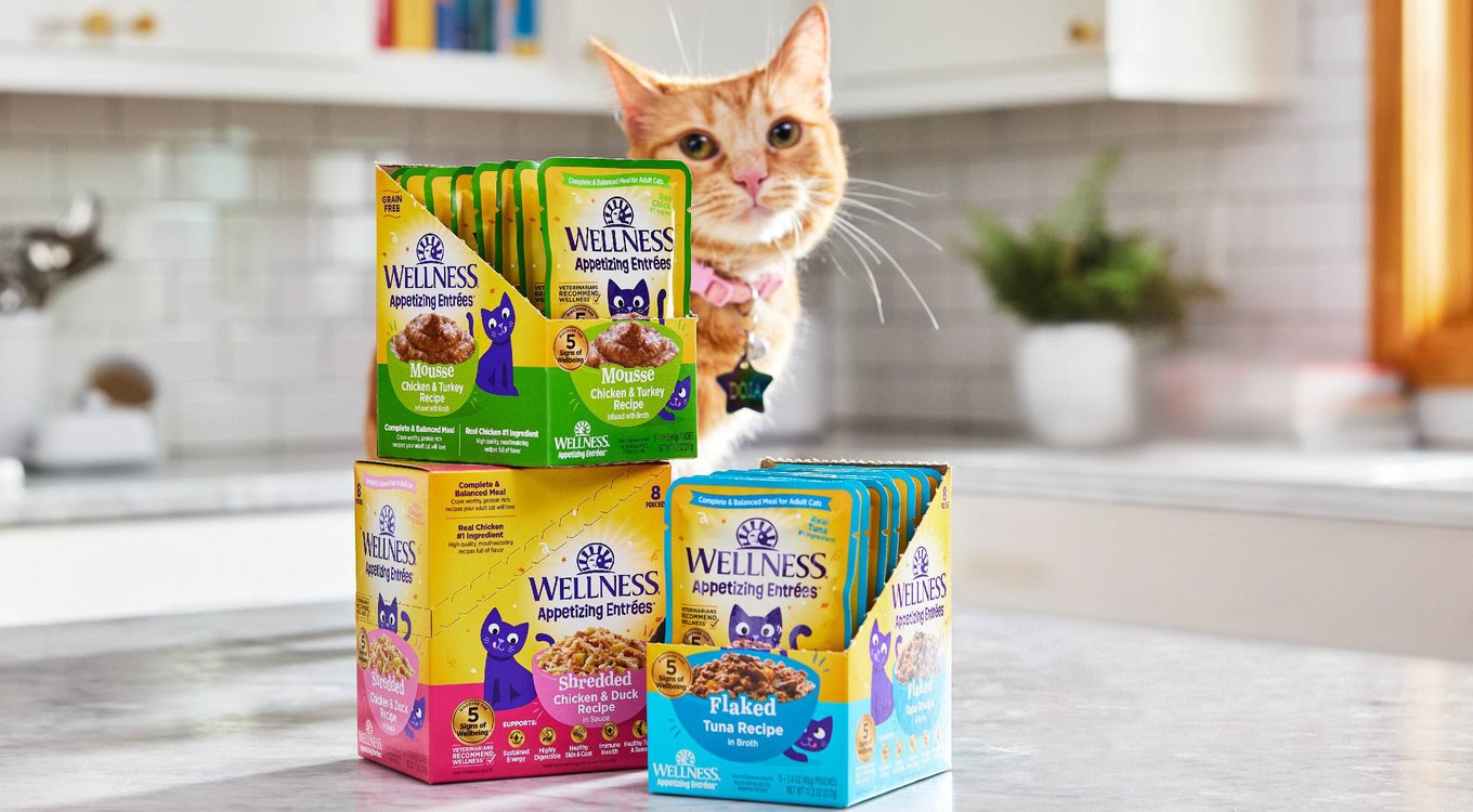 Wellness Appetizing Entrees Flaked Tuna Recipe in Broth Natural Wet Cat Food