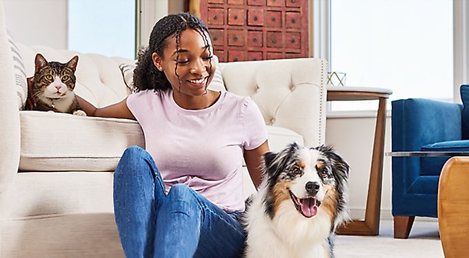 Wellness Grain-Free Complete Health Small Breed Adult Deboned Turkey, Chicken Meal & Salmon Meal Recipe Dry Dog Food