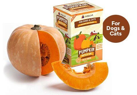 WERUVA Pumpkin Patch Up Dog Cat Food Supplement Pouches 2.80 oz case of 12 Chewy