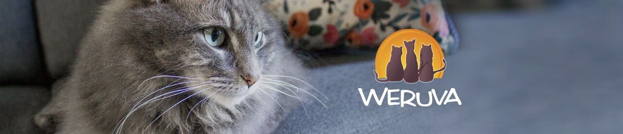 Weruva Slide N' Serve Meal of fortune Chicken Breast Dinner with Chicken Liver Pate Grain-Free Cat Food Pouches