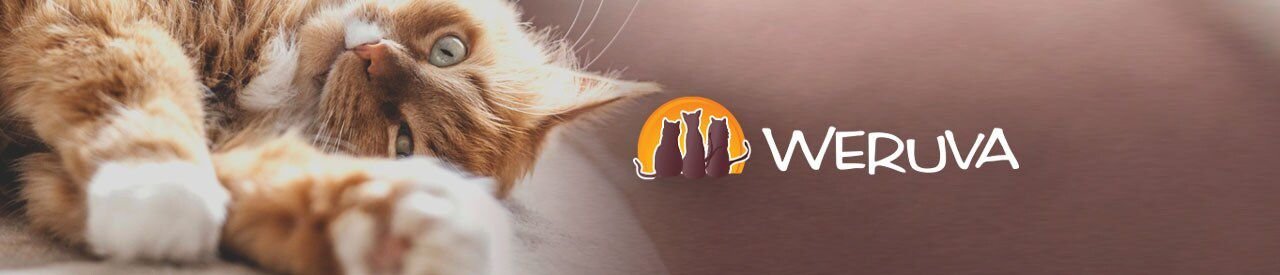 Weruva Paw Lickin' Pals Variety Pack Grain-Free Canned Cat Food