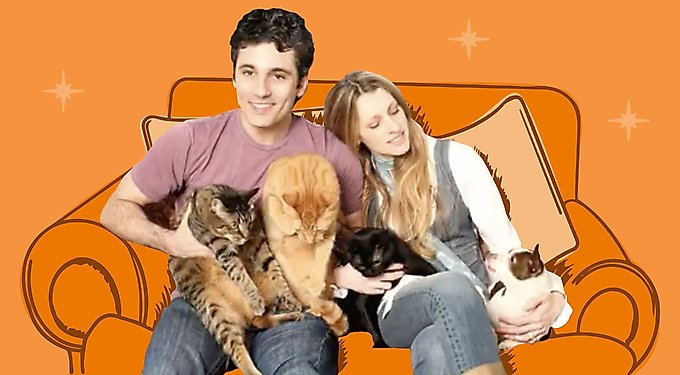 Weruva Cats in the Kitchen Pumpkin Jack Splash Tuna in Pumpkin Soup Grain-Free Cat Food Pouches