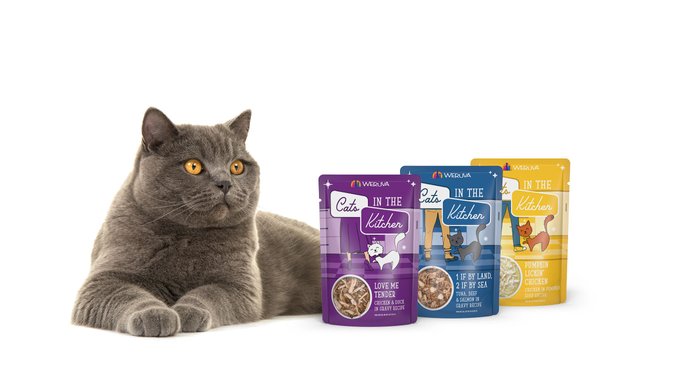 Weruva Cats in the Kitchen Pumpkin Jack Splash Tuna in Pumpkin Soup Grain-Free Cat Food Pouches