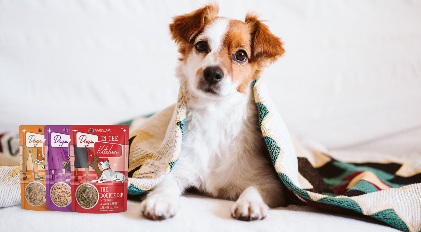 WERUVA Dogs in the Kitchen Pooch Pouch Party! Variety Pack GrainFree Dog Food Pouches, 2.8oz