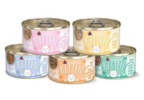Weruva Kitten Chicken & Tuna Formula in Gravy Wet Cat Food, 3-oz can, case of 12