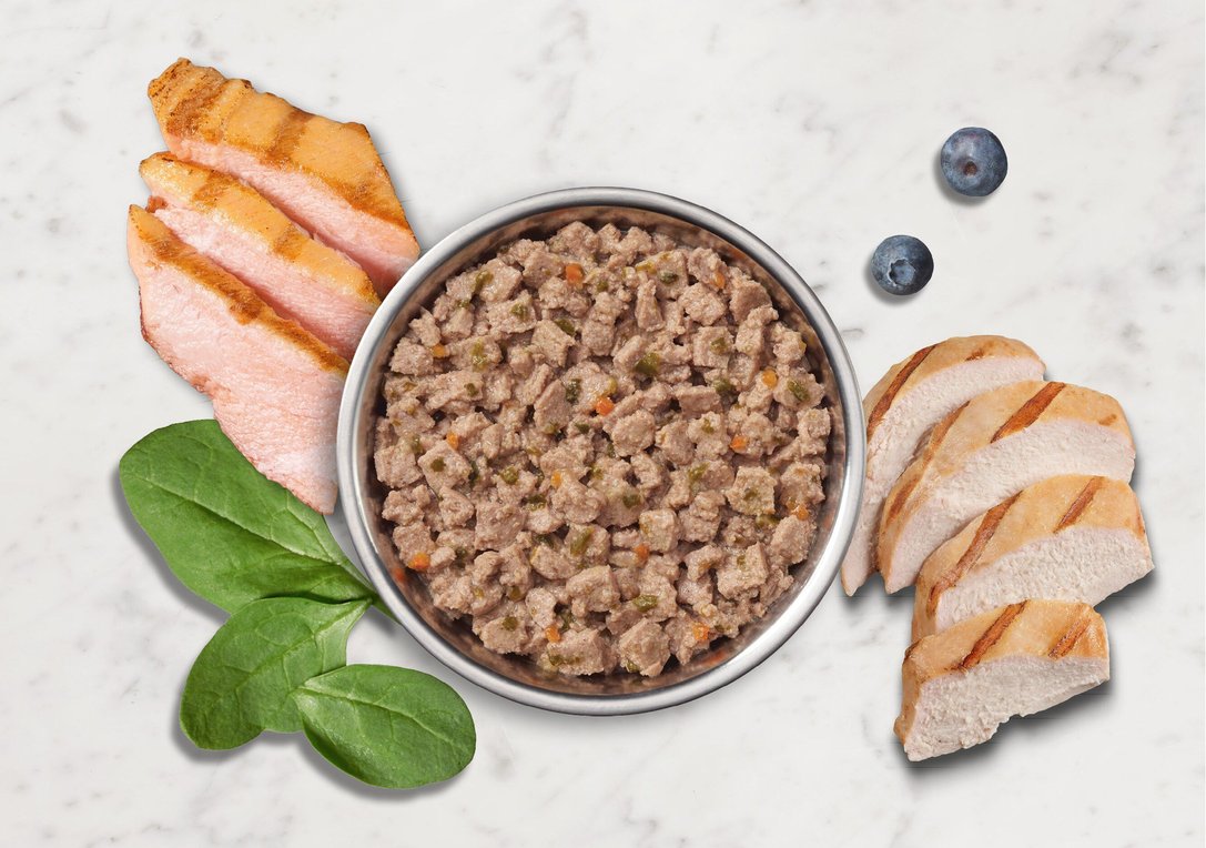 Nature's Variety Pride by Instinct Grain-Free Minced Lovebug's Lamb Recipe Wet Canned Cat Food