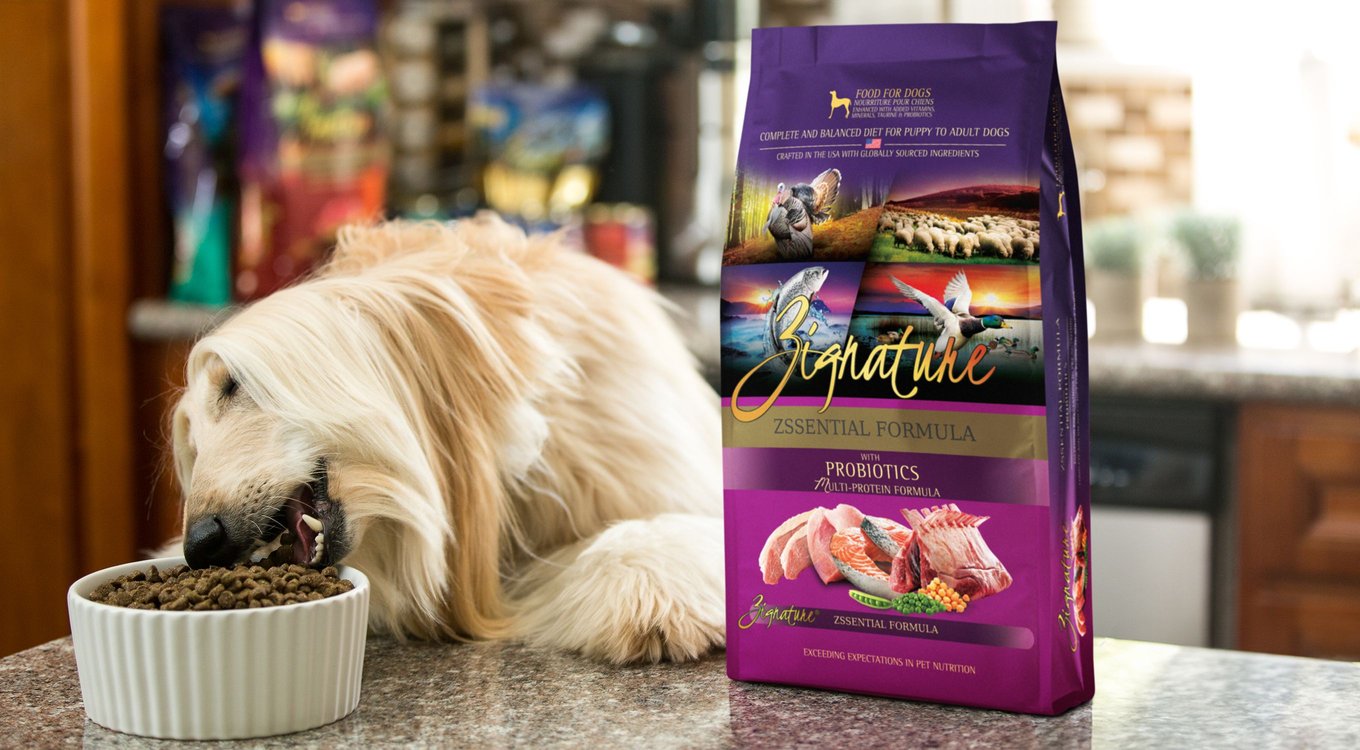 ZIGNATURE Whitefish Limited Ingredient Formula Canned Dog Food, 13oz