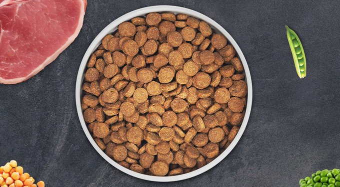 Zignature Duck Limited Ingredient Formula Dry Dog Food