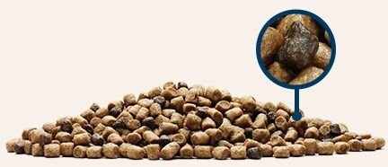 Blue Buffalo Wilderness Indoor Chicken Recipe Grain-Free Dry Cat Food