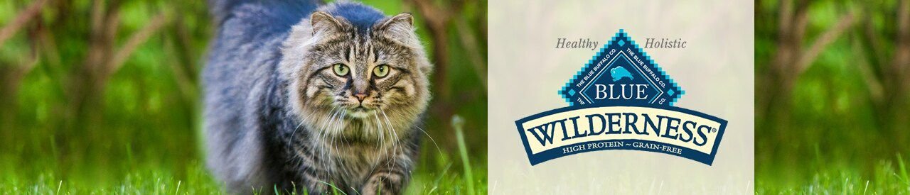 Blue Buffalo Wilderness Indoor Chicken Recipe Grain-Free Dry Cat Food