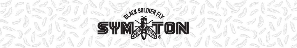 Black Soldier Fly. Symton.