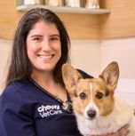Headshot of the Chewy Vet Care Coral Springs veterinarian